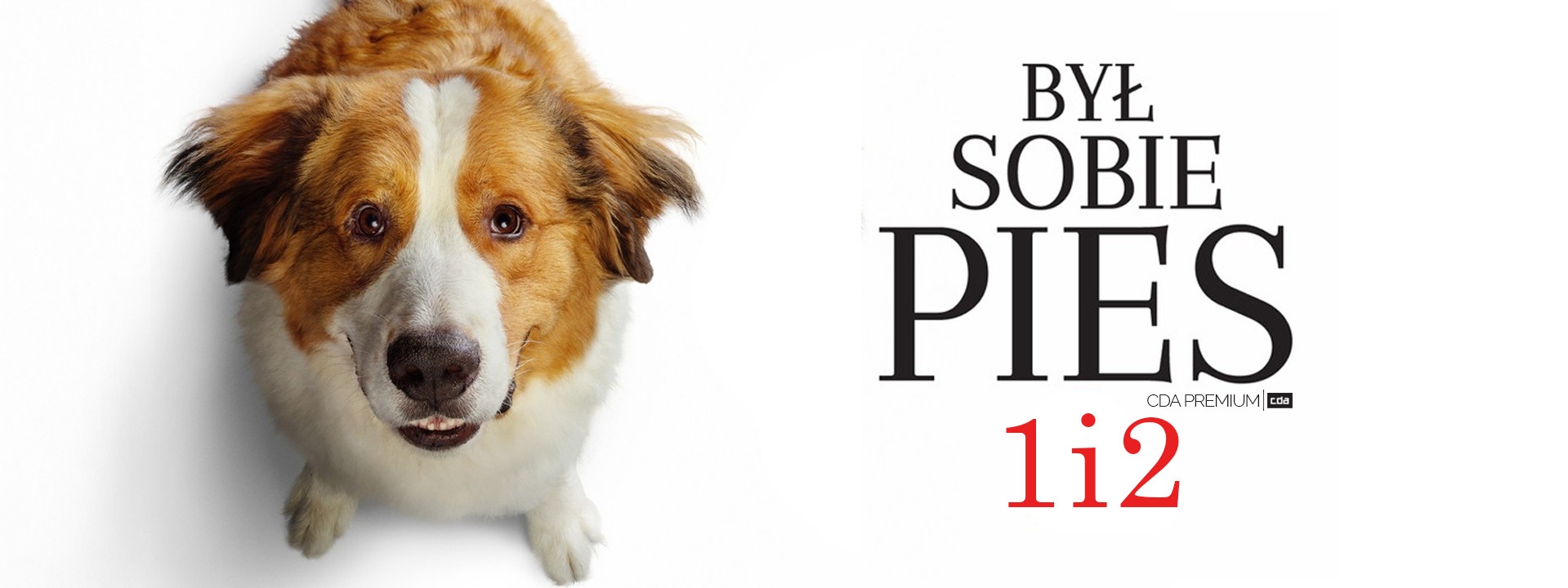Był sobie pies (2017) Dubbing PL